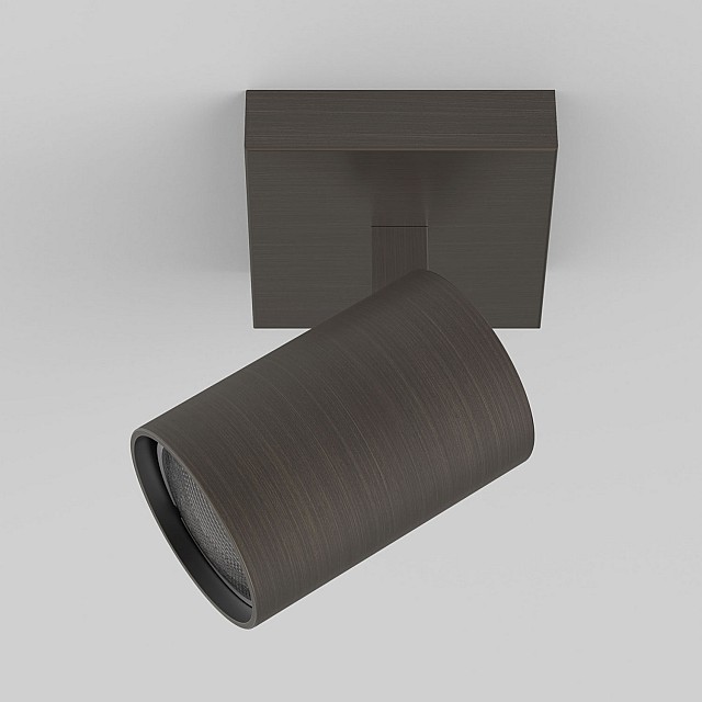 Ascoli Single Spotlight in Bronze