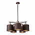 Balance 5 Light Chandelier - Brown and Polished Brass