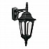 Parish 1 Light Down Wall Lantern