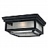 Shepherd 2 Light Flush Mount