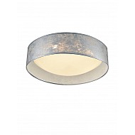 Acrylic Ceiling Fitting with Silver Shade Silver Finish