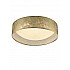 Acrylic Ceiling Fitting with Gold Shade Gold Colour Finish
