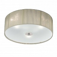 Desire 3 light Flush Satin Nickel Finish
