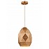 Tangent Oval Pendant Gold Colour Finish