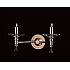 Starlite Optical Glass Wall Bracket