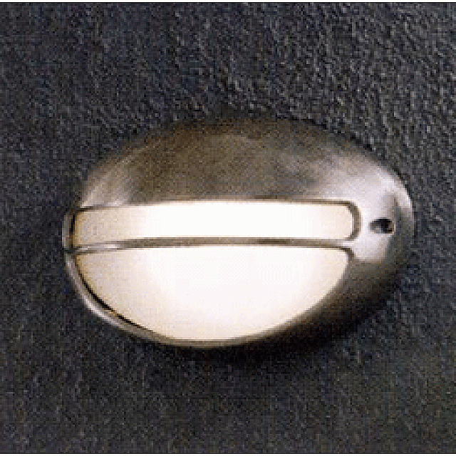 Oval Modern Bulkhead Light