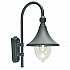 Firenze 1 Light Wall Lantern - Black
