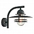 Oslo 1 Light Wall Lantern - Black