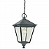Turin 1 Light Chain Lantern - Black