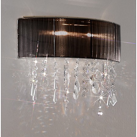 Wall Lamp PARALUME SPECTRA Clear, 24-carat gold, shade black