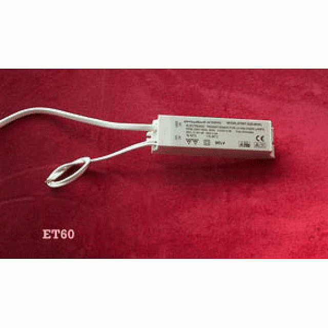 21 - 60 Watt 12V Transformer